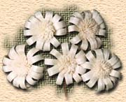 Madhu Flowers, India is an  Indian Manufacturer, Exporter and Supplier of Dry Flowers Items or Dried Flowers Items 