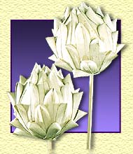 Khejur Artichoke on Stem