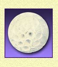 Sola Crepe Ball